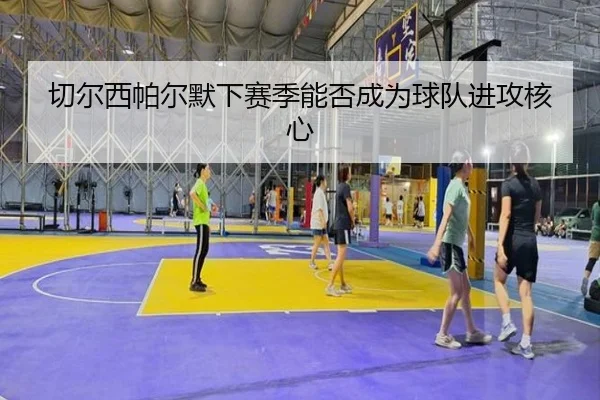 切尔西帕尔默下赛季能否成为球队进攻核心
